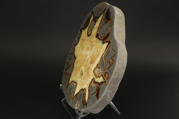 7.5" Septarian Slab DS029