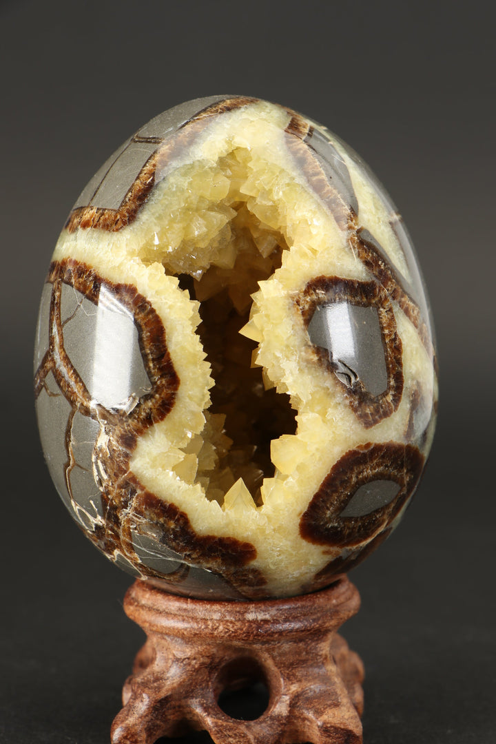 Septarian Geode Egg DS1232