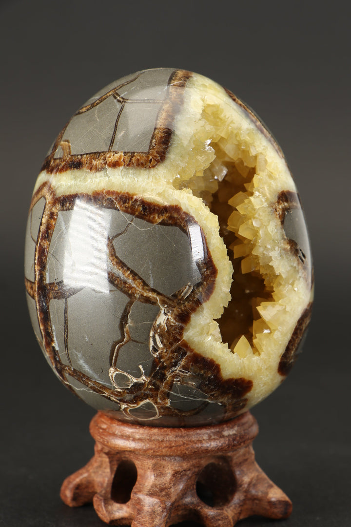 Septarian Geode Egg DS1232