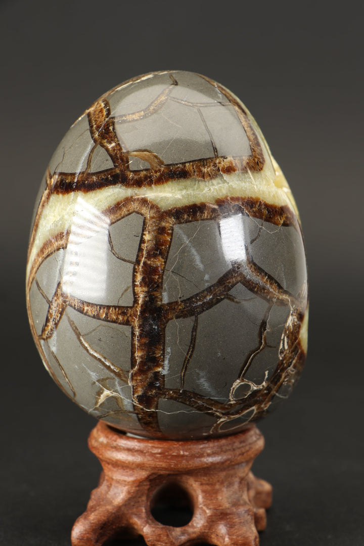 Septarian Geode Egg DS1232