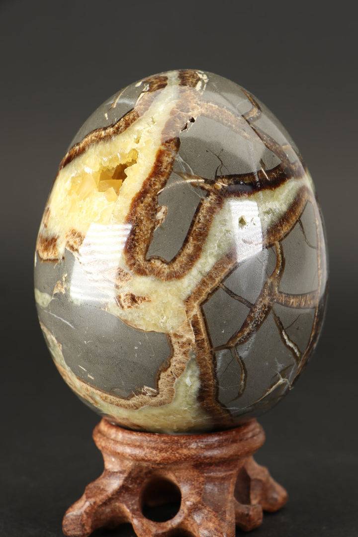 Septarian Geode Egg DS1232