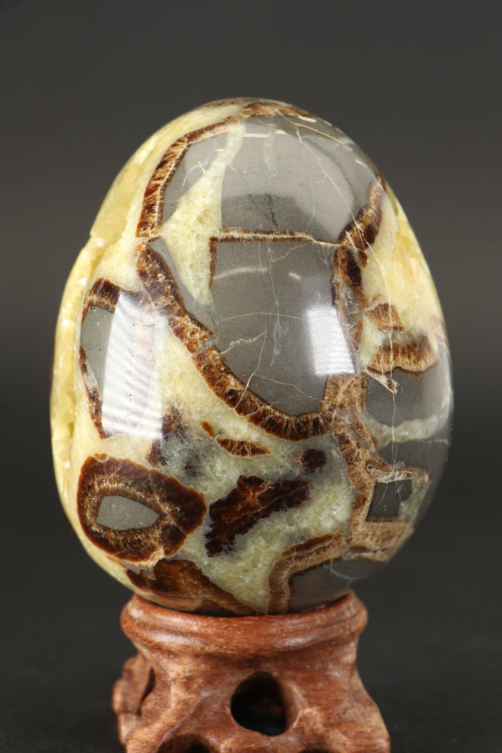 Septarian Geode Egg DS1232