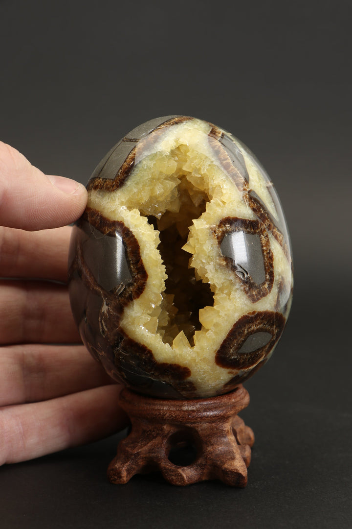 Septarian Geode Egg DS1232