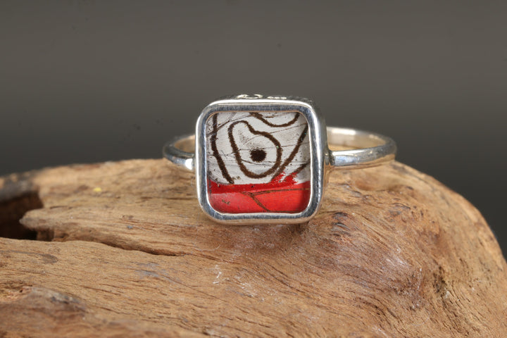 Clymena Butterfly Ring Size 8.5