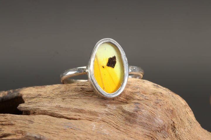 Menippe Butterfly Ring Size 9.5