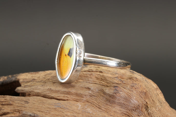 Menippe Butterfly Ring Size 9.5