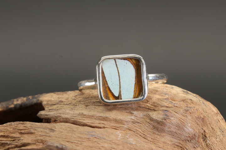 Stelenes Butterfly Ring Size 8
