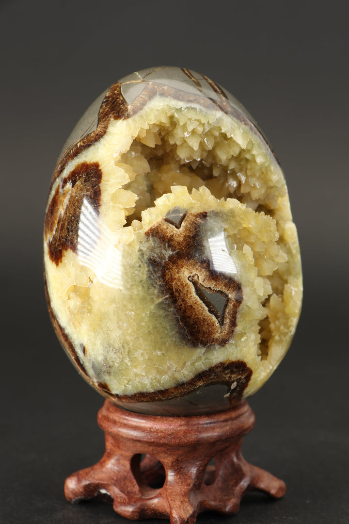 Septarian Geode Egg DS1528