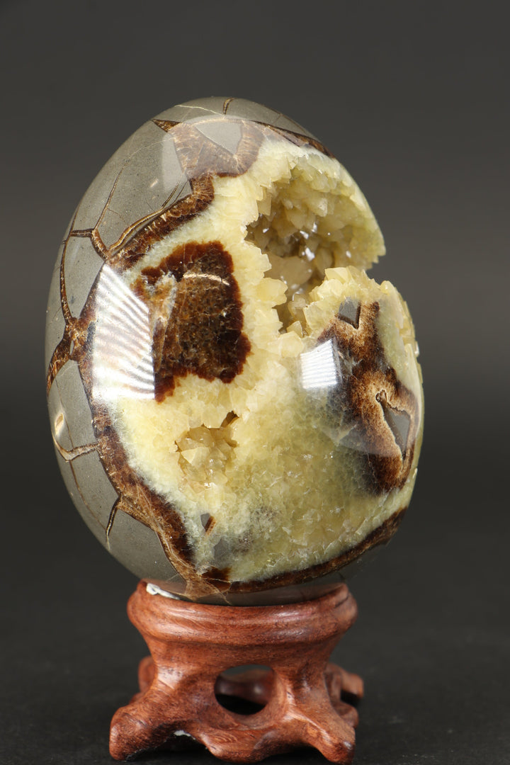 Septarian Geode Egg DS1528