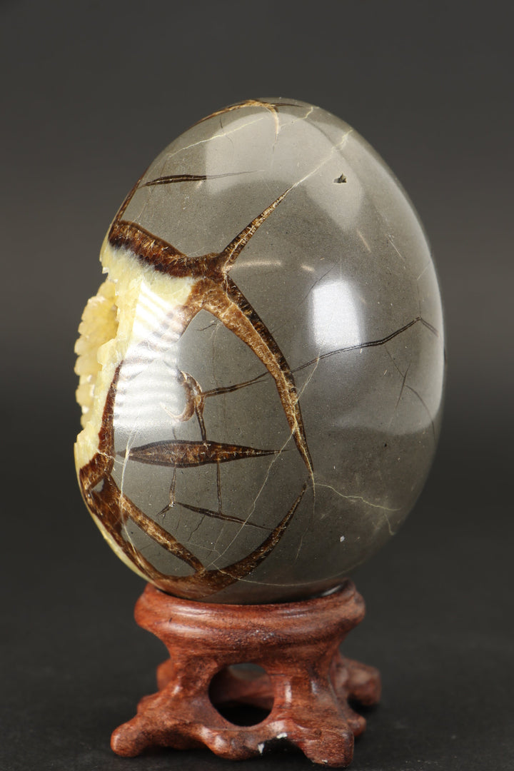 Septarian Geode Egg DS1528