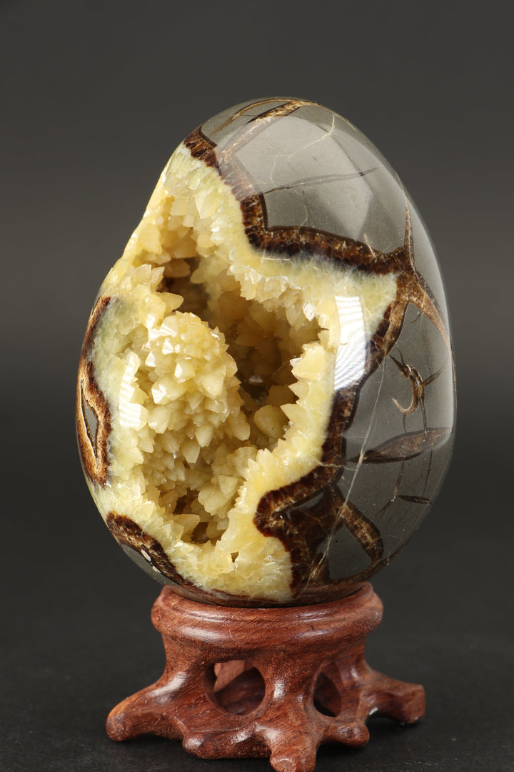 Septarian Geode Egg DS1528
