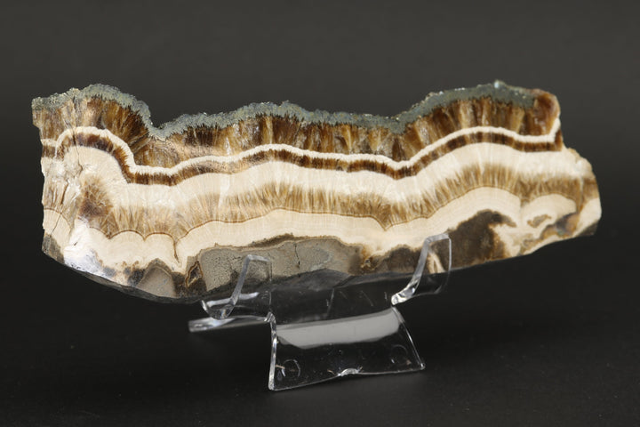 Barite with Marcasite Slab DS1623