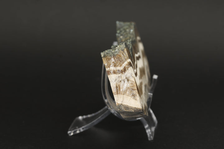 Barite with Marcasite Slab DS1623