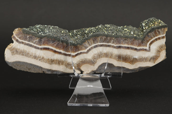 Barite with Marcasite Slab DS1623