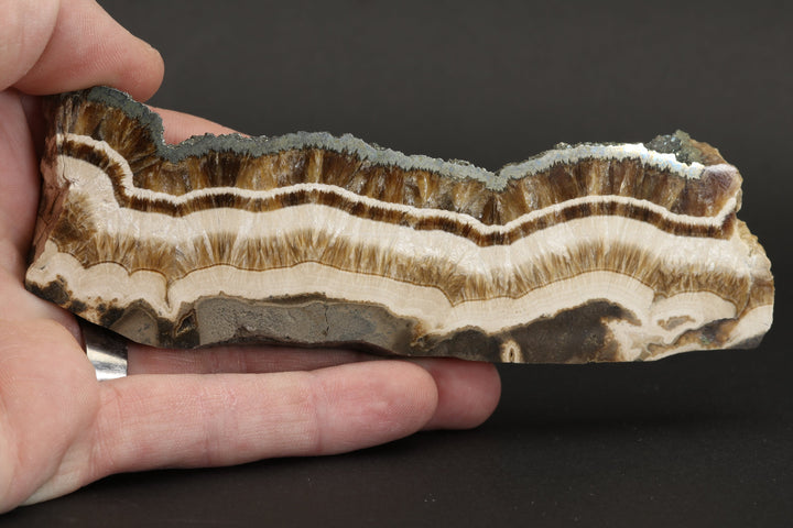 Barite with Marcasite Slab DS1623