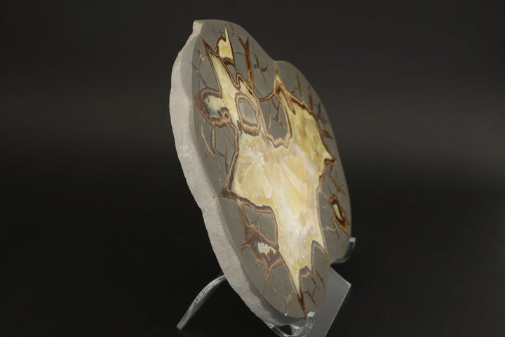 7" Septarian Slab DS2236