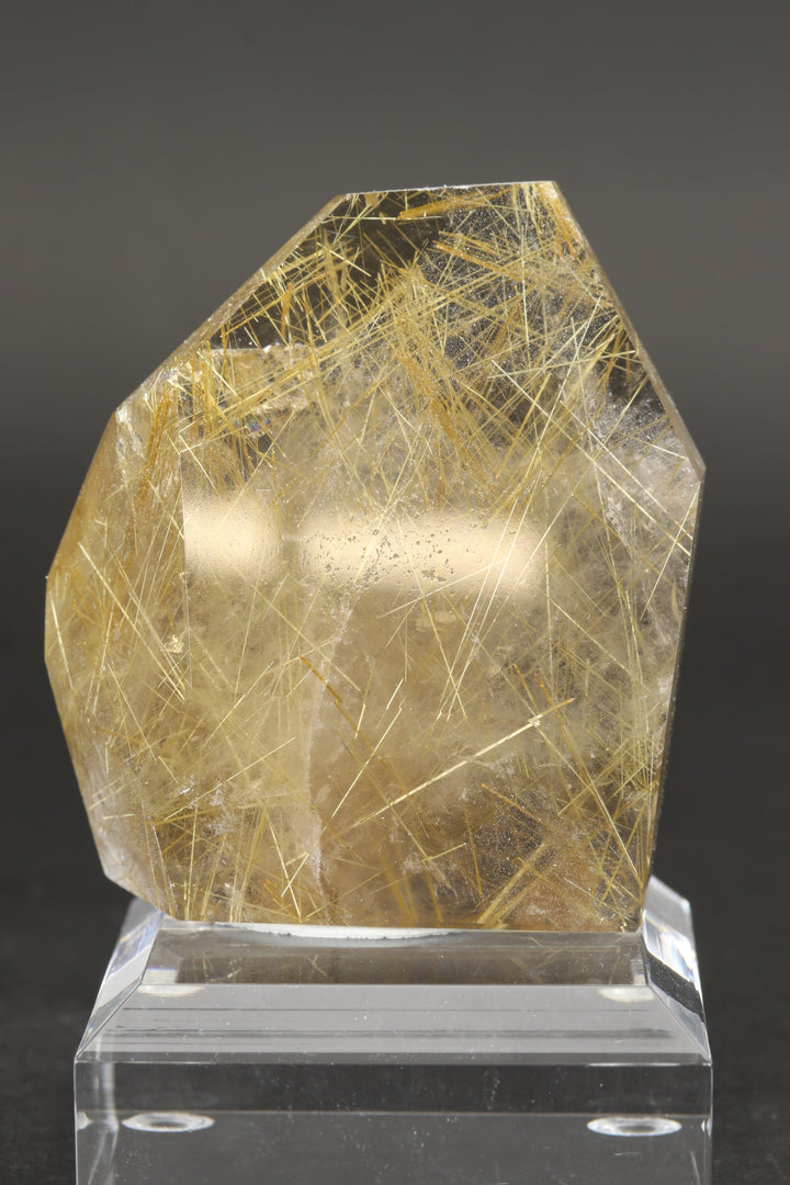 Polished Gold Rutile in Quartz Freeform DS2582
