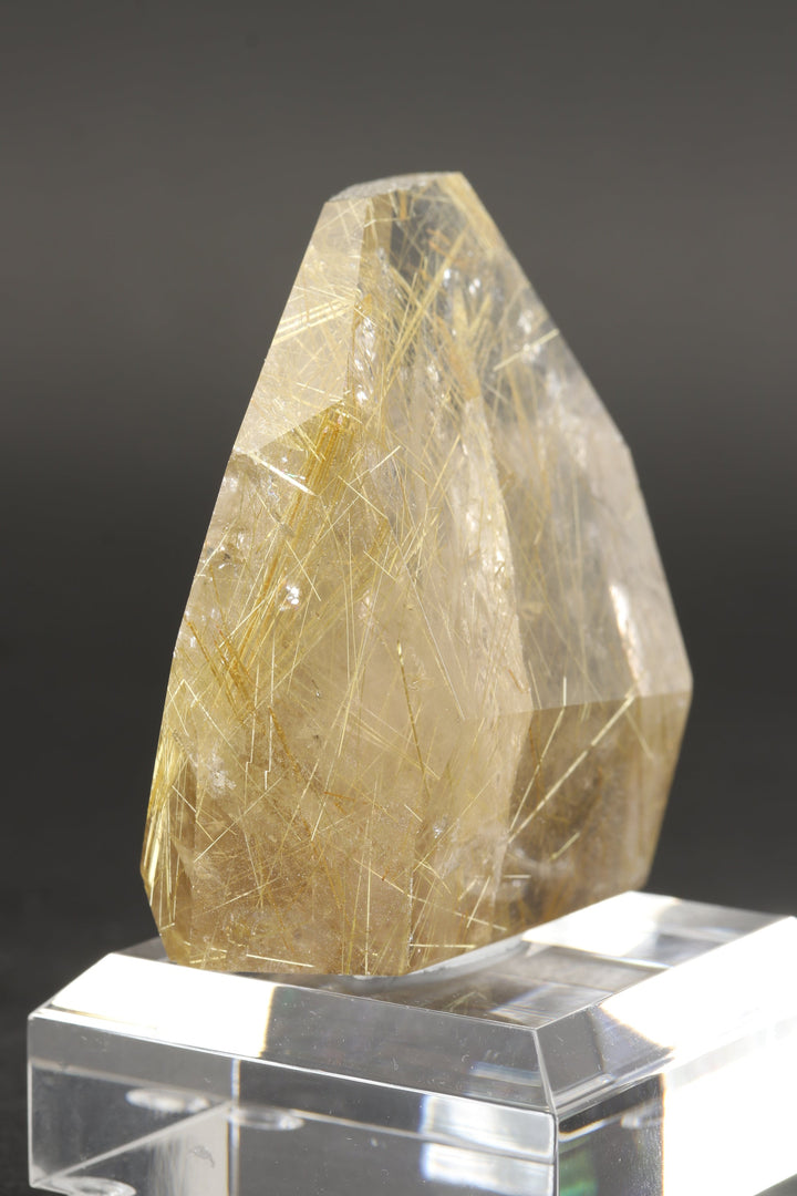 Polished Gold Rutile in Quartz Freeform DS2582