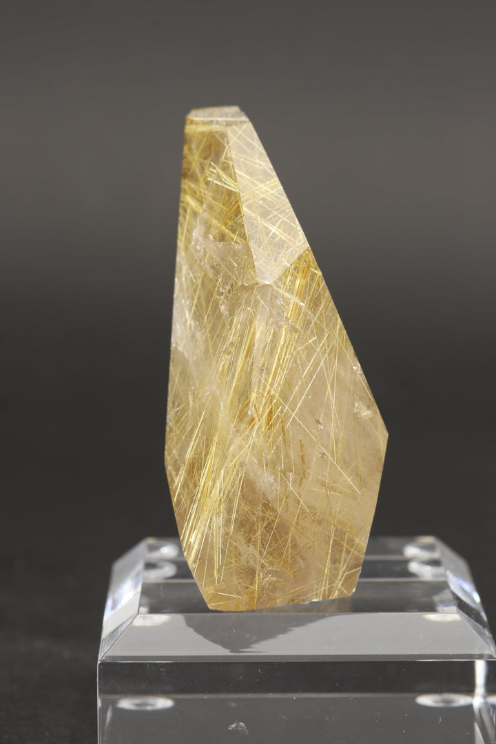 Polished Gold Rutile in Quartz Freeform DS2582