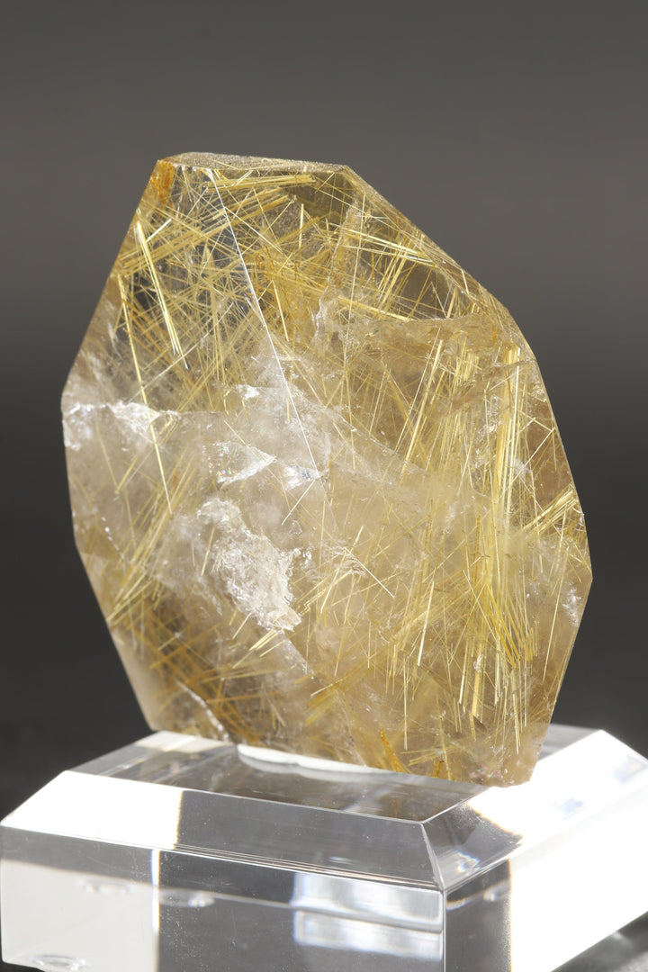Polished Gold Rutile in Quartz Freeform DS2582