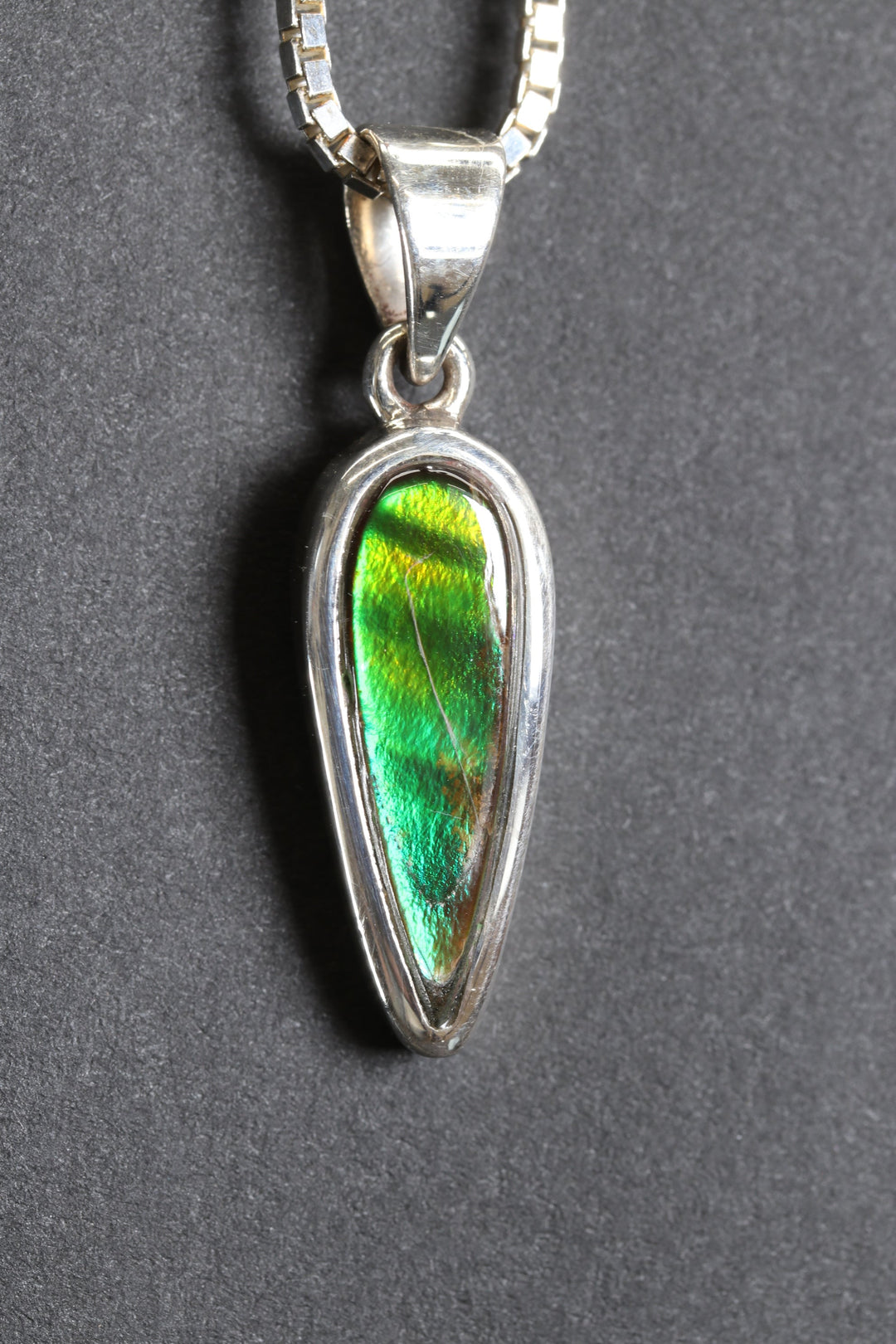 Ammolite Pendant