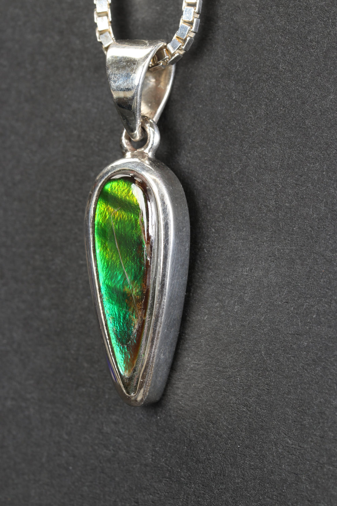 Ammolite Pendant