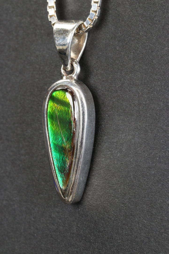 Ammolite Pendant