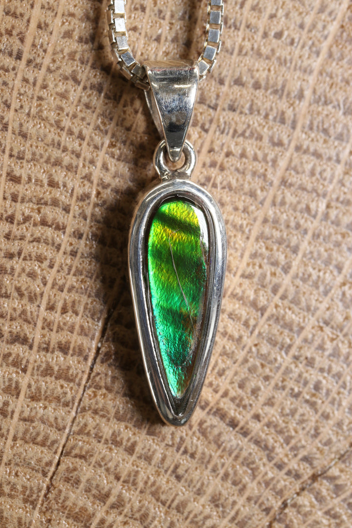 Ammolite Pendant