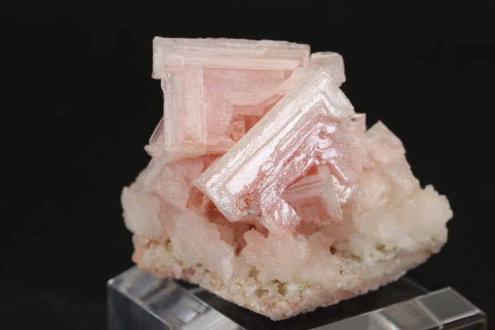 Pink Halite on Trona Specimen DS549
