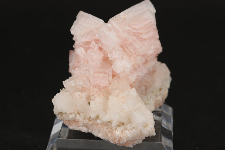Pink Halite on Trona Specimen DS549