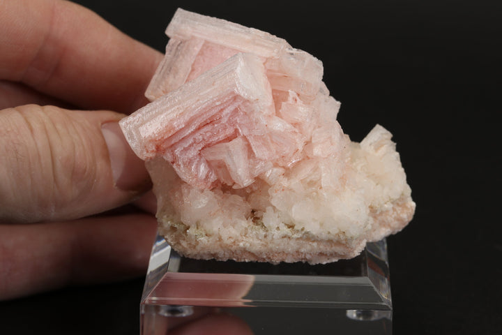 Pink Halite on Trona Specimen DS549