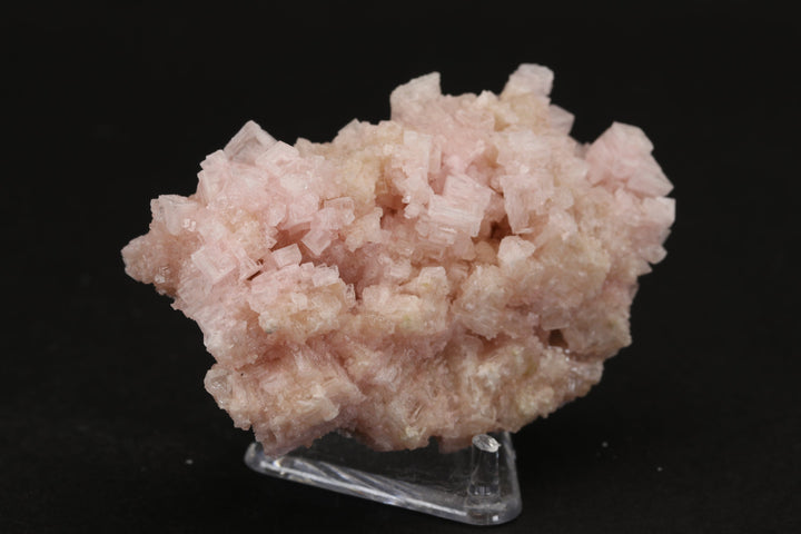 Pink Halite on Trona Specimen DS550