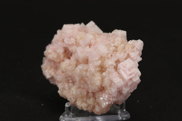 Pink Halite on Trona Specimen DS550