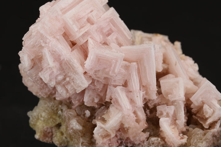 Pink Halite on Trona Specimen DS552