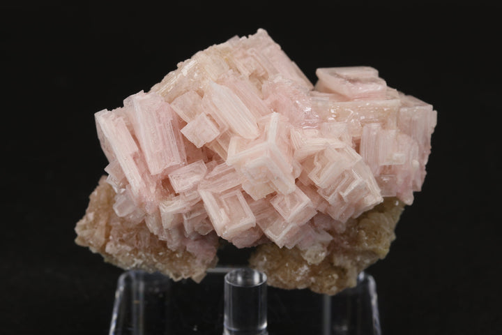 Pink Halite on Trona Specimen DS553