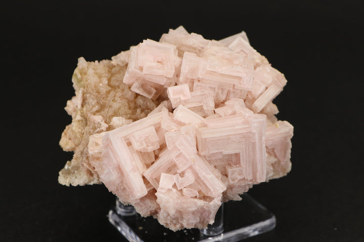 Pink Halite on Trona Specimen DS556