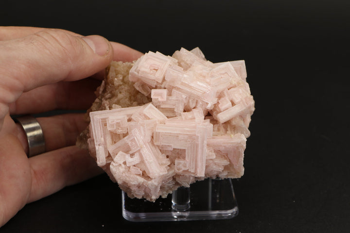 Pink Halite on Trona Specimen DS556