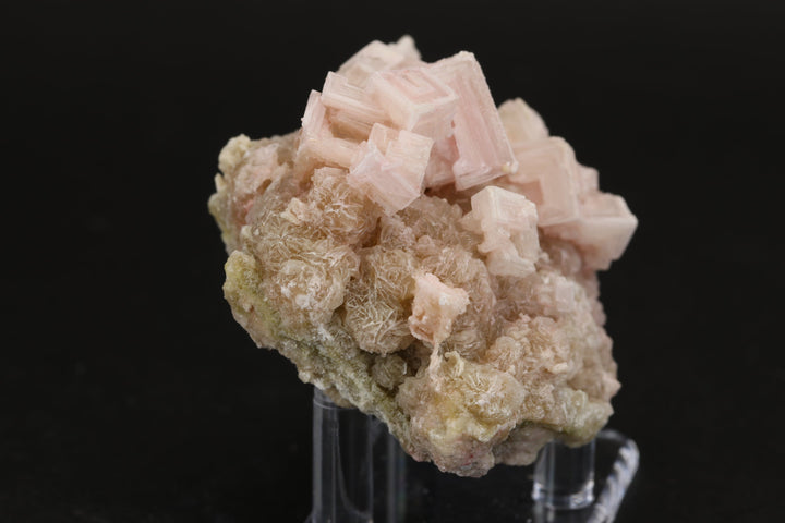 Pink Halite on Trona Specimen DS558