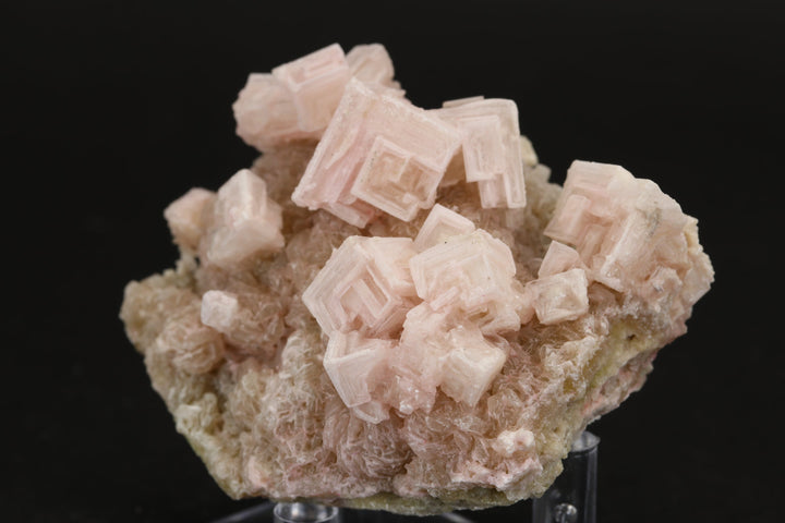 Pink Halite on Trona Specimen DS558