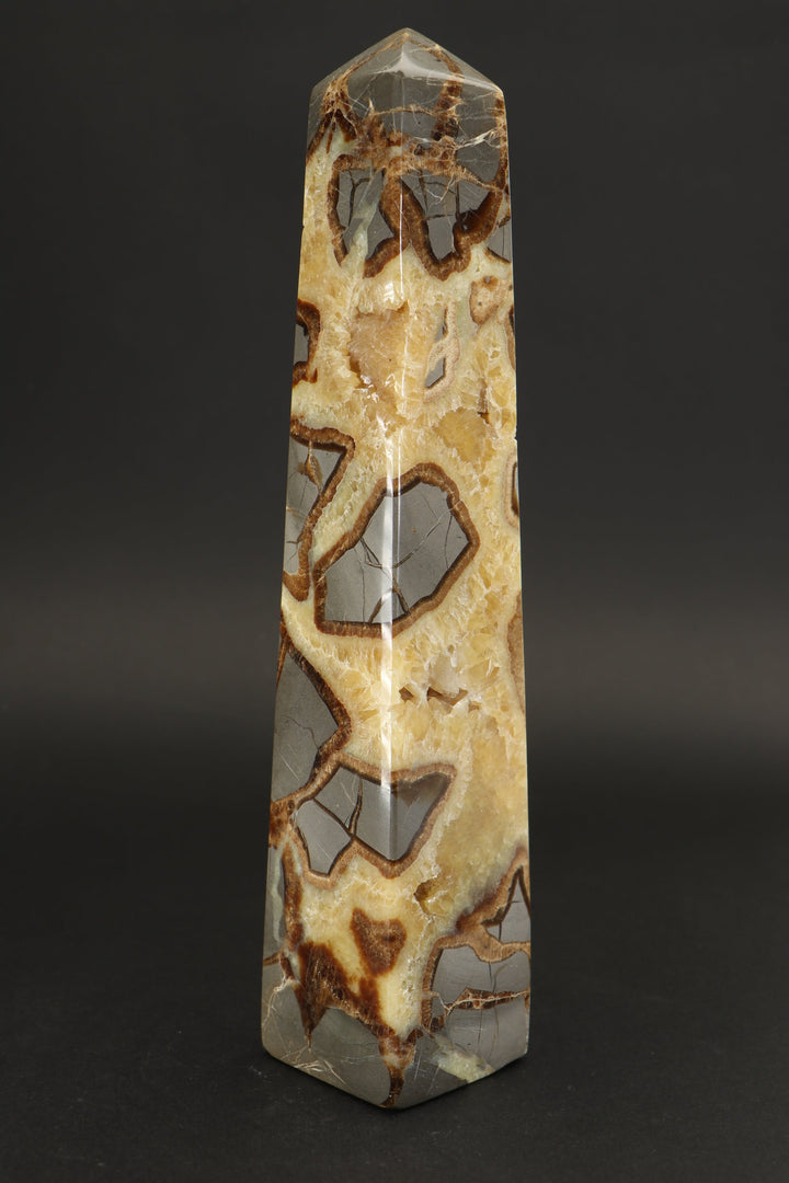 8.5" Septarian Obelisk DS785