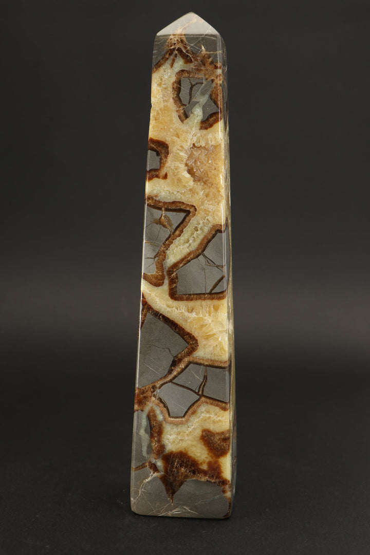 8.5" Septarian Obelisk DS785