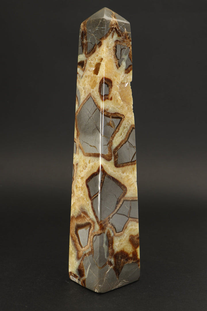 8.5" Septarian Obelisk DS785