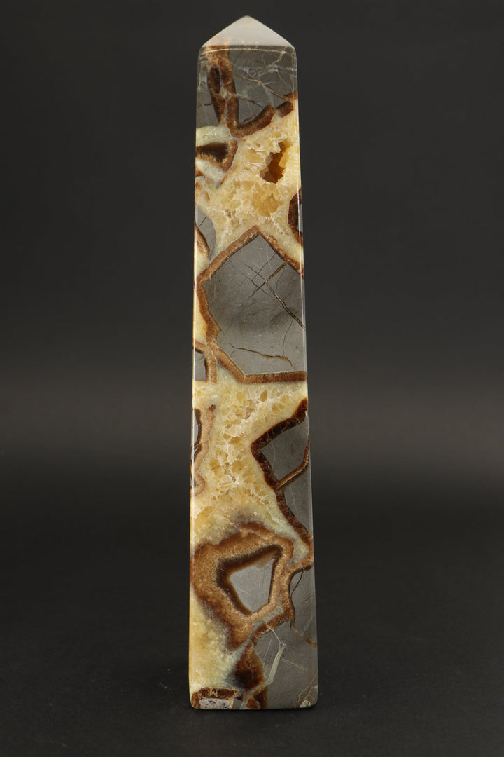 8.5" Septarian Obelisk DS785