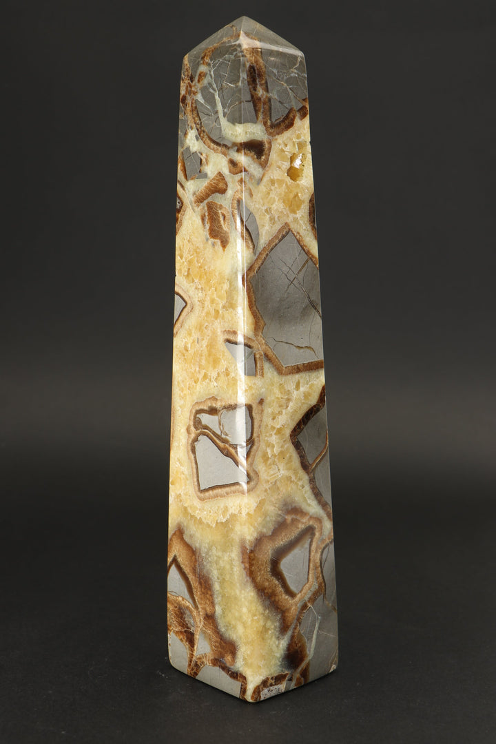 8.5" Septarian Obelisk DS785