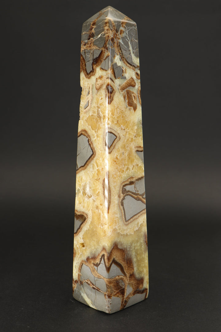 8.5" Septarian Obelisk DS785