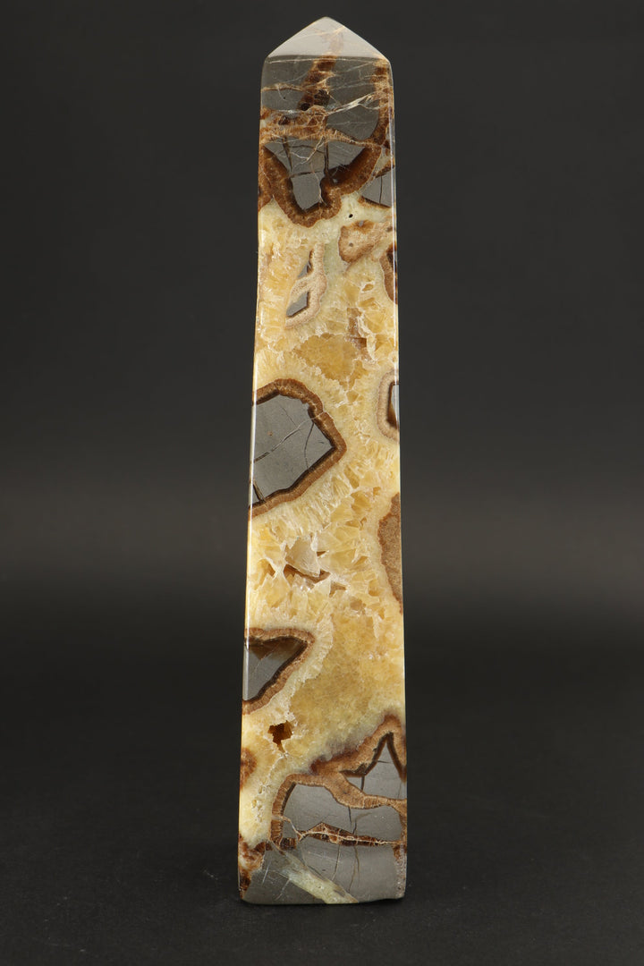 8.5" Septarian Obelisk DS785