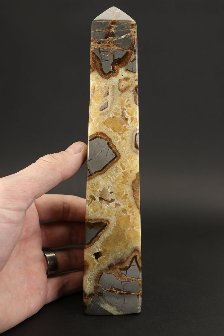8.5" Septarian Obelisk DS785