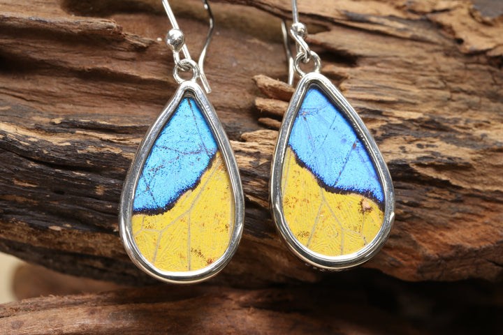 Morpho and Phoebis Butterfly Dangle Earrings