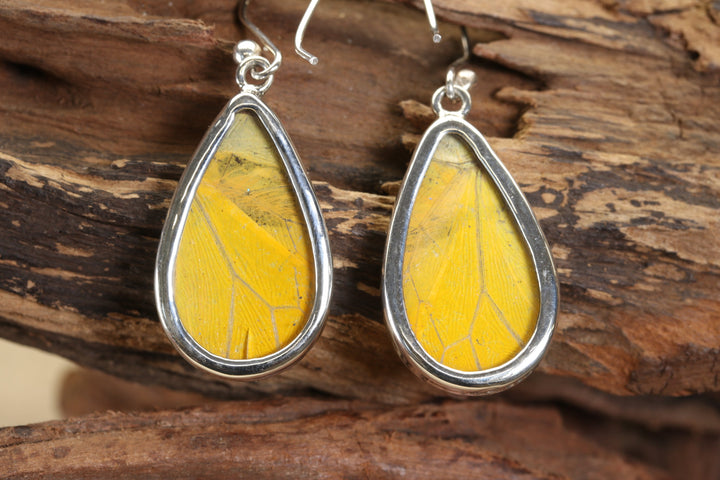 Morpho and Phoebis Butterfly Dangle Earrings