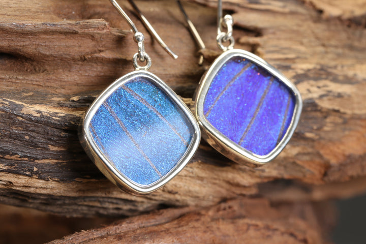 Morpho Butterfly Dangle Earrings
